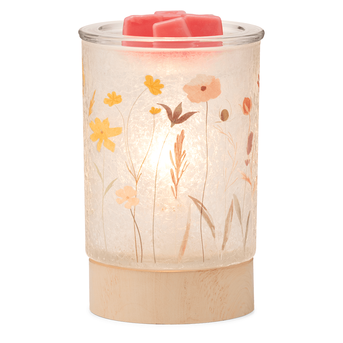 Decorative wax warmer with floral design on a clear background