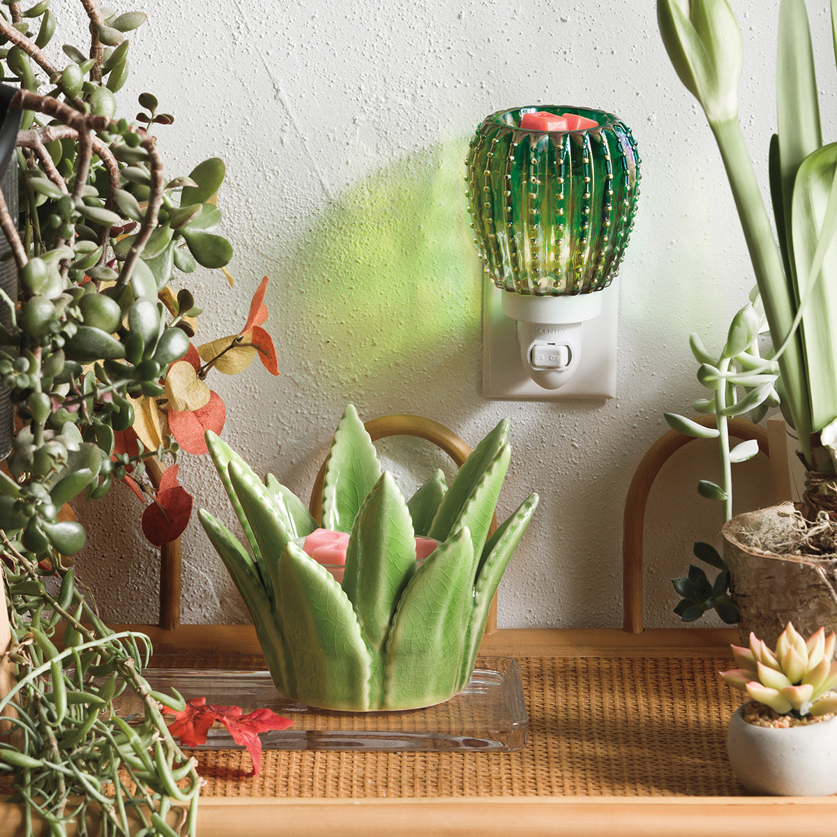 Cactus-shaped night light on a wall with plants around
