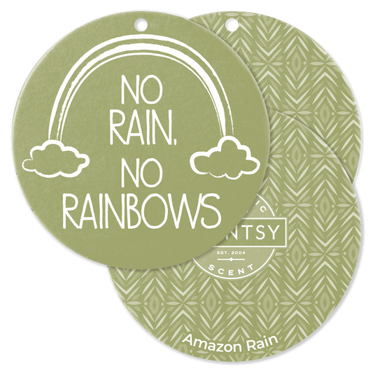 Two green air freshener tags with 'No Rain, No Rainbows' text and a patterned design.