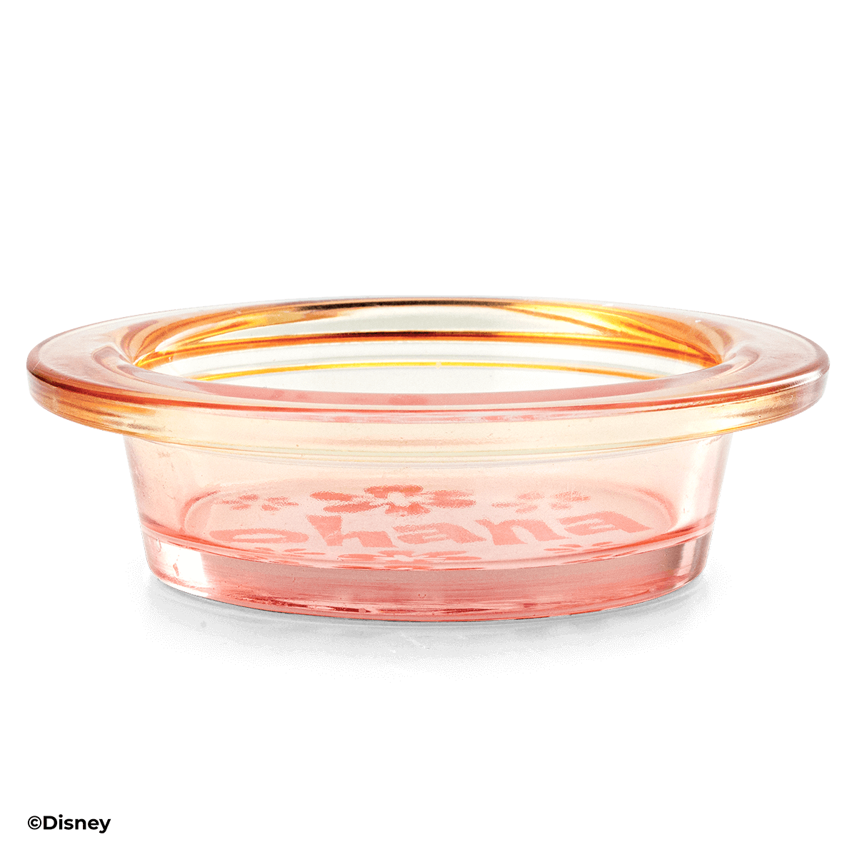 Clear plastic bowl with a brand name on a black background