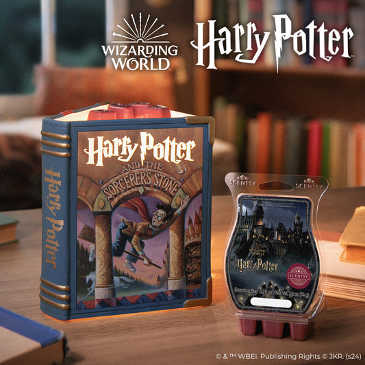Harry Potter-themed book-shaped light and Scentsy wax melt packaging on a wooden surface with 'Wizarding World' and 'Harry Potter' branding.