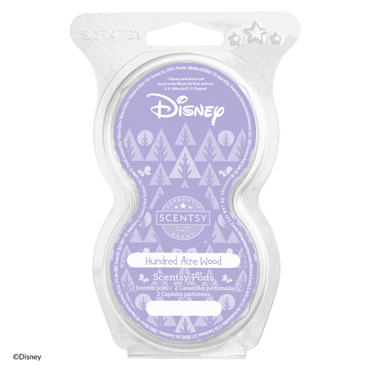 Scentsy Disney Hundred Acre Wood wax melt package on a white background