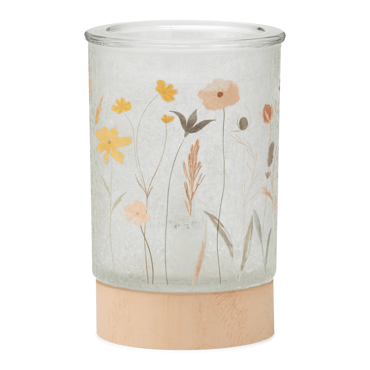 Decorative lamp with floral design on a white background