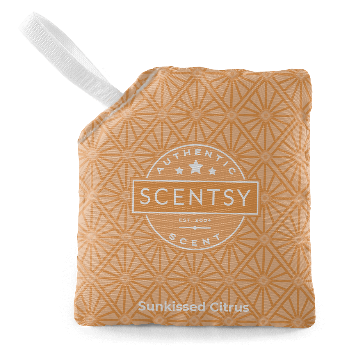 Scentsy Sunkissed Citrus scented wax bar with a white handle on a black background