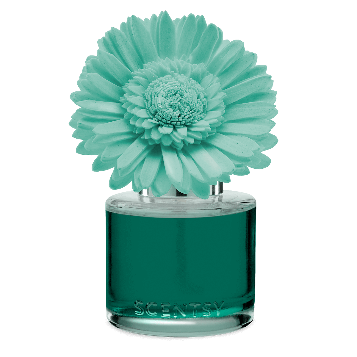 Scentsy diffuser with a large turquoise flower on a black background