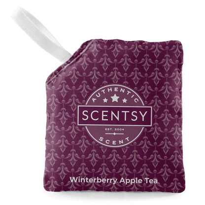 Scentsy Winterberry Apple Tea scent pouch with a white handle on a black background